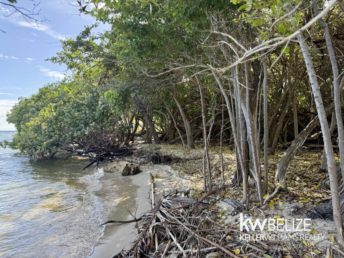 Placencia Road Placencia Stann Creek District