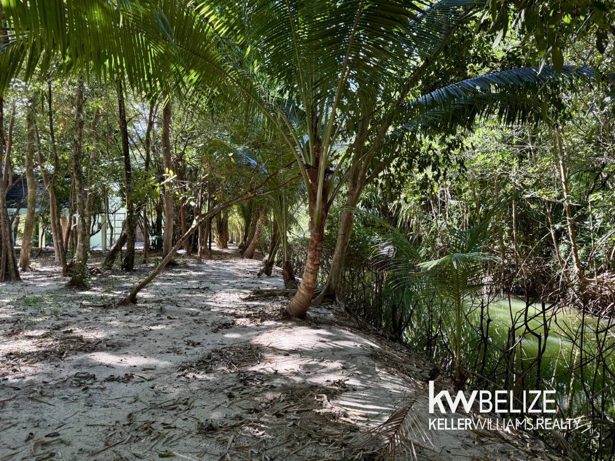 Placencia Road Maya Beach Stann Creek District