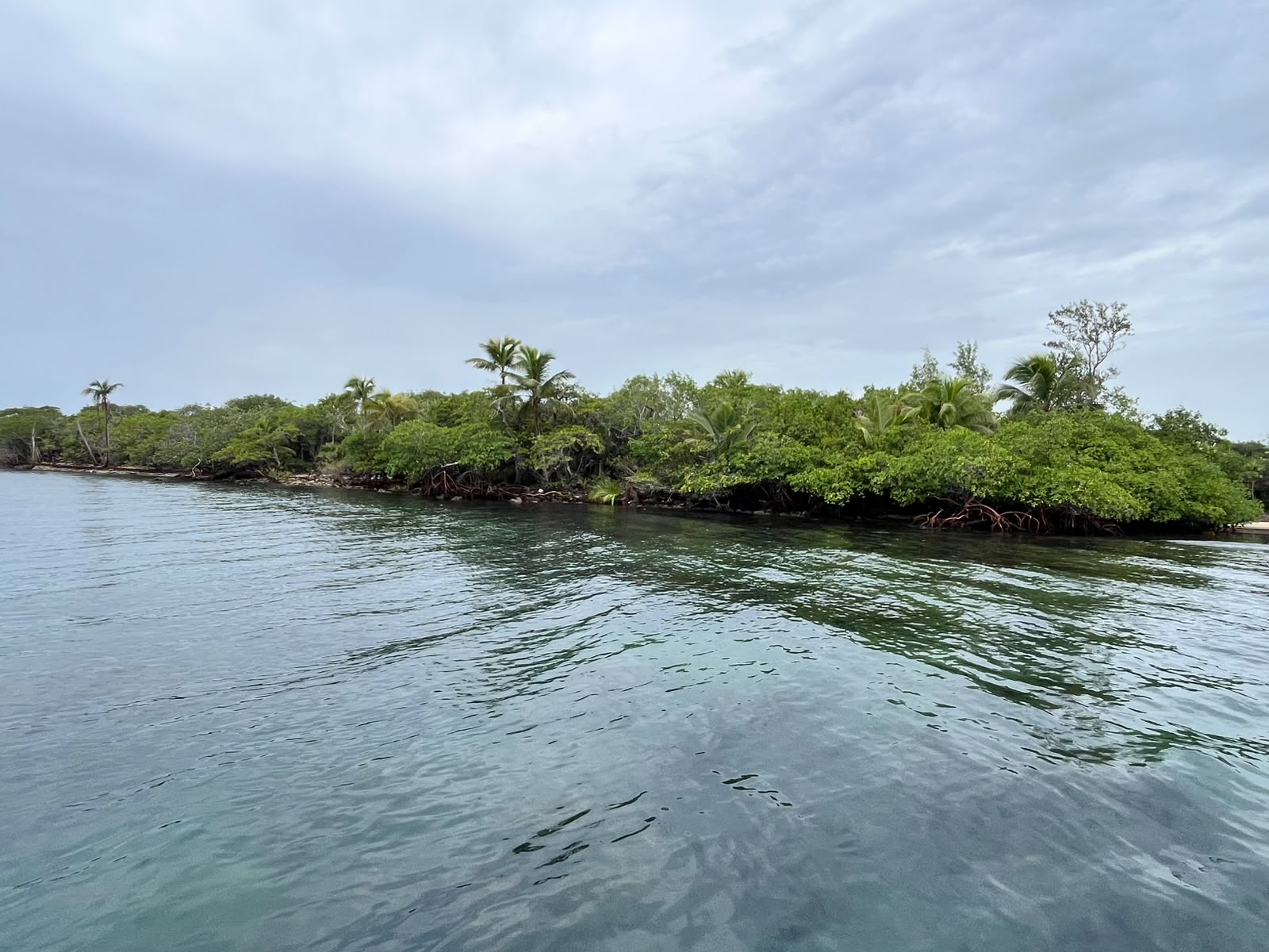 9.85 ac. South End of Rocky Point Island and 3 miles NE of Monkey River Village, along the coast Monkey River Town Toledo District