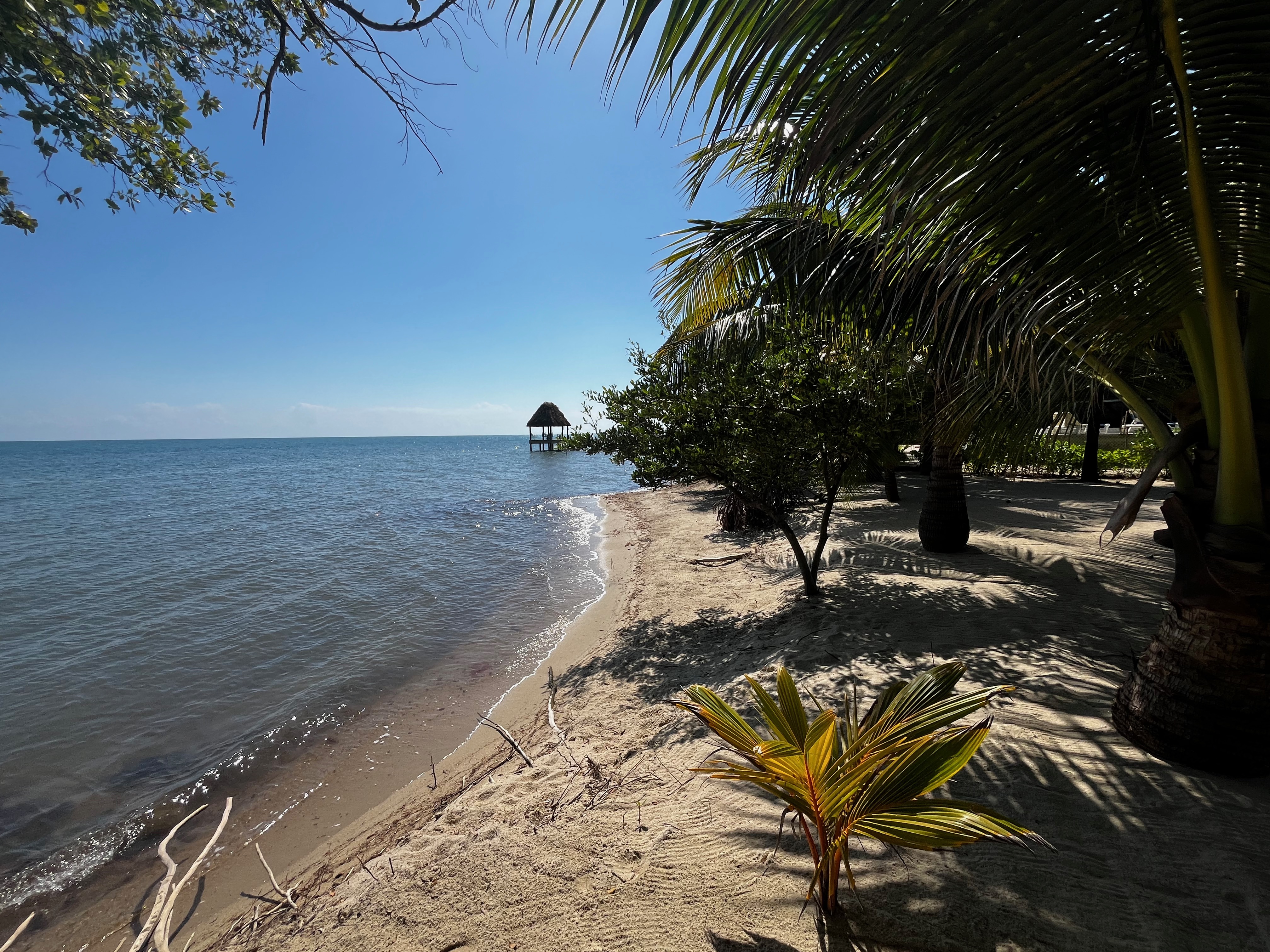 102 Placencia Rd #Beachfront Beauty! #Beachfront Beauty! Placencia Stann Creek District