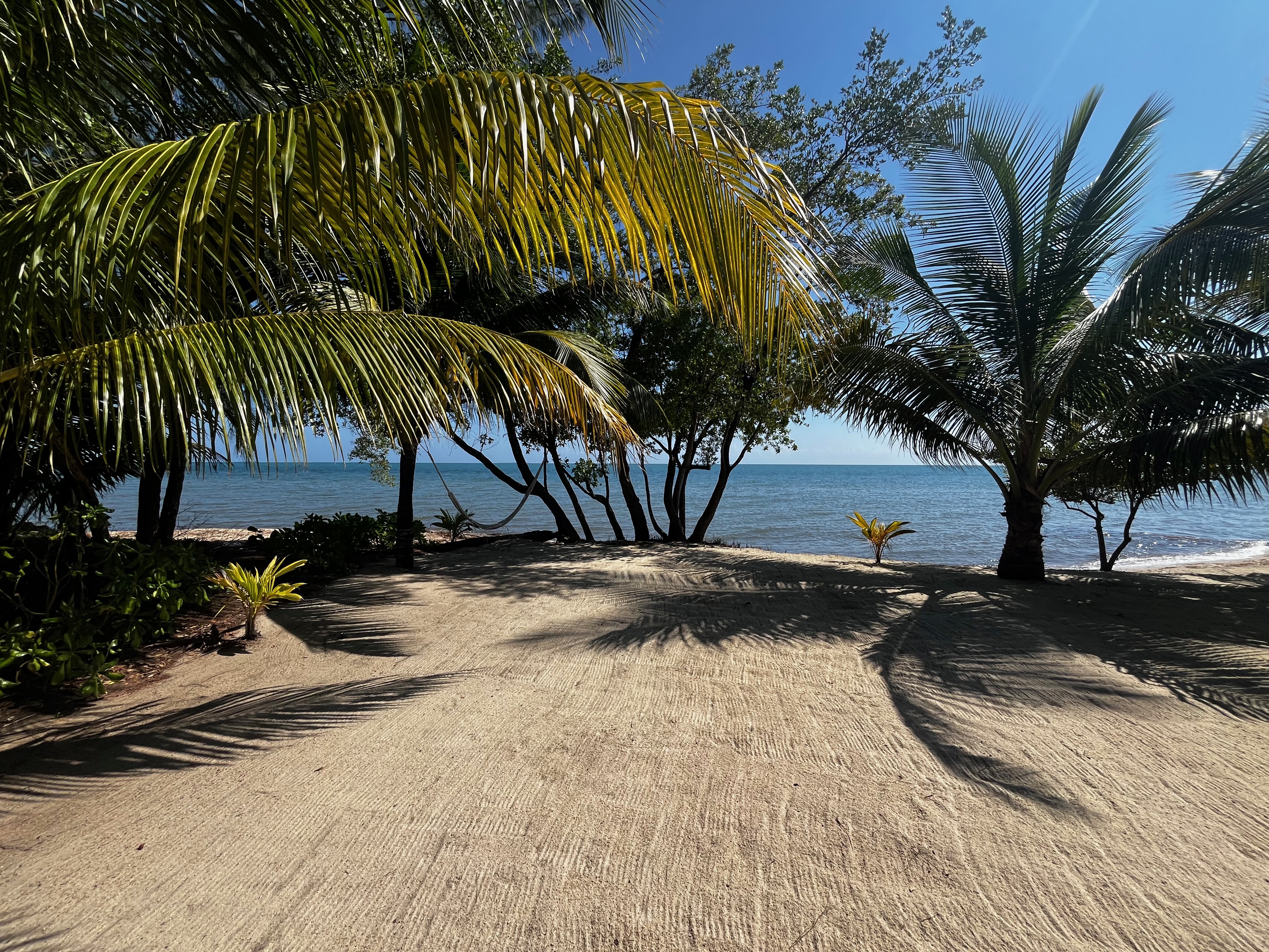 102 Placencia Rd #Beachfront Beauty! #Beachfront Beauty! Placencia Stann Creek District