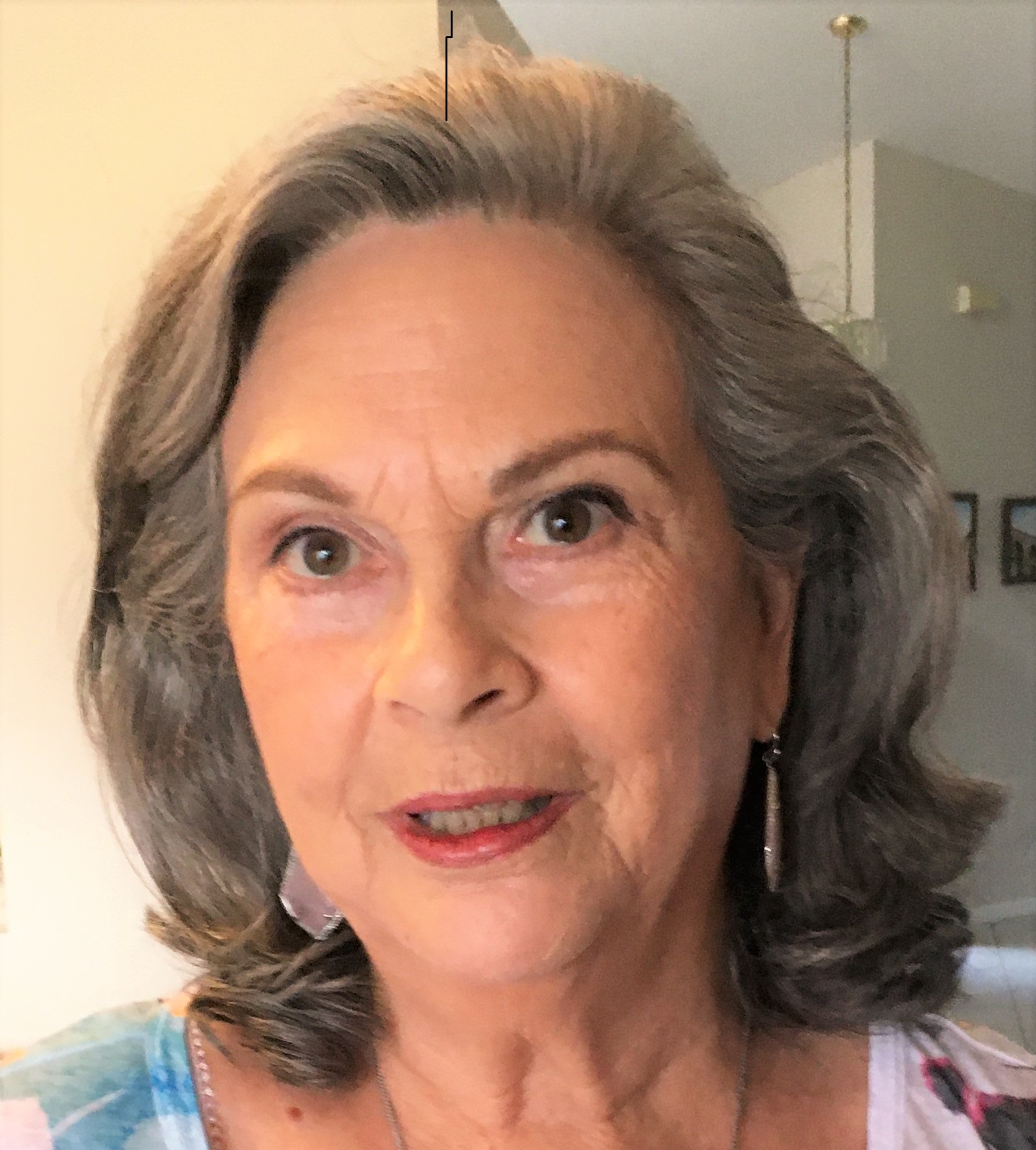 Realtor, Keller Williams Realty of the Palm Beaches