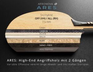 ARES_Schnitt-300x232.jpg