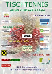 Cupfinale 2014 Plakat.jpg