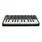 Akai Professional MPK Mini MKII 25-Key Ultra Portable USB MIDI Drum Pad Controller