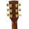 Ibanez Artwood AW100CE Cutaway Dreadnought Acoustic Electric Guitar