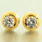 Charming Ladies 18K Yellow Gold Diamond 0.40CTW Stud Earrings Jewelry