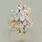 Classic Womens Vintage 14K Yellow Gold Diamond 2.00CTW Cluster Cocktail Ring 