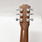 Baby Taylor BT1 6 String Dreadnought Acoustic Guitar