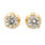NEW Classic 14K Yellow Gold Diamond 0.50CTW Stud Screw Back Earrings Jewelry