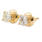 NEW Classic 14K Yellow Gold Diamond 0.50CTW Stud Screw Back Earrings Jewelry