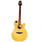 Takamine G Series EGS-430SC CutAway Acoustic Electric Guitar - EGS430SC