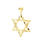 Vintage Classic Estate 14K Gold Diamond Cut Star of David Pendant - 50MM 