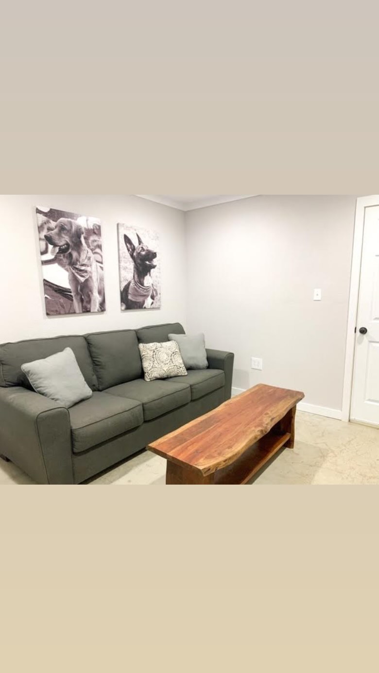 The indoor living room where dogs hang out by day at ATX K9