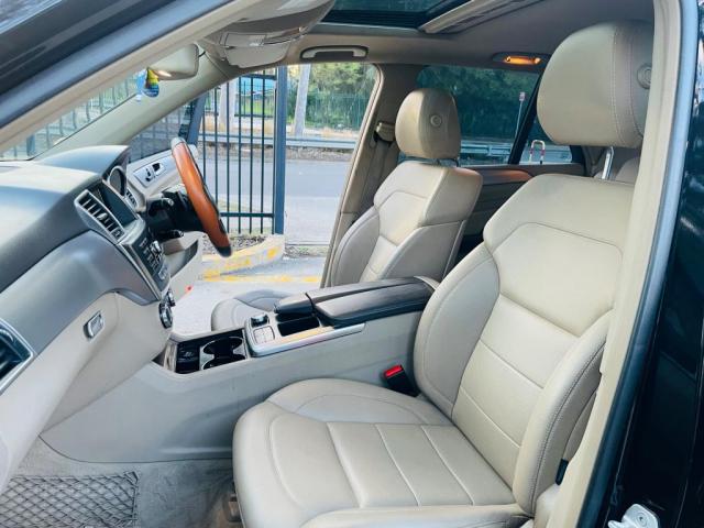 MERCEDES-BENZ ML 250CDI BLUETEC (4x4) 166