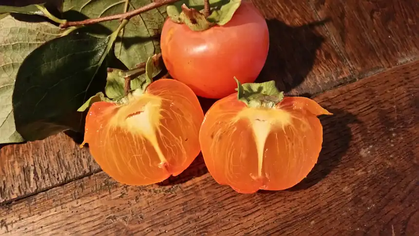 Kaki, arbres fruitiers bio
