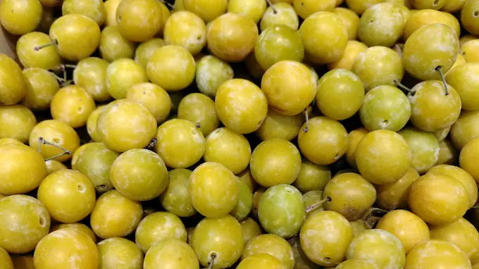 Mirabelle de Nancy