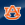 Auburn Logo