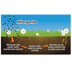 6-4-0 Organic All-Purpose Fertilizer - Image 1