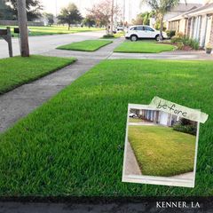 6-4-0 Organic All-Purpose Fertilizer - Image 3