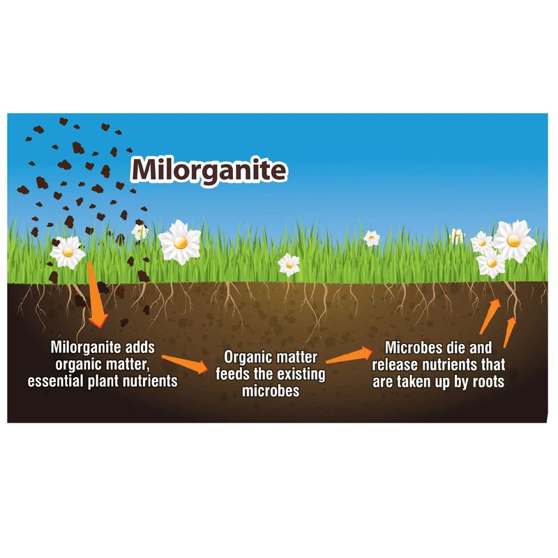 6-4-0 Organic All-Purpose Fertilizer - Image 1