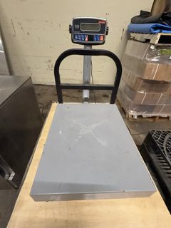 Digital Platform Scale - Image 2