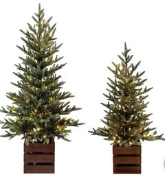 Boxed Pine Trees with Twinkle Lights, Set of 2 - Image 1