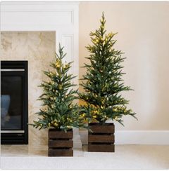 Boxed Pine Trees with Twinkle Lights, Set of 2 - Image 4