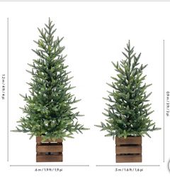 Boxed Pine Trees with Twinkle Lights, Set of 2 - Image 3
