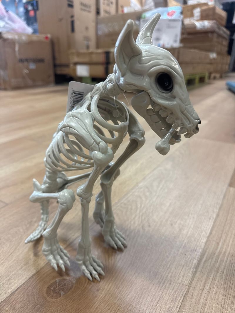 Skeleton dog - Image 1