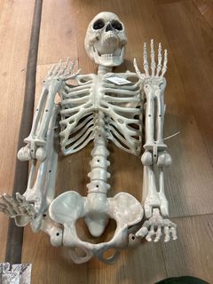 Foldable poseable Haloween skeleton decoration - Image 1