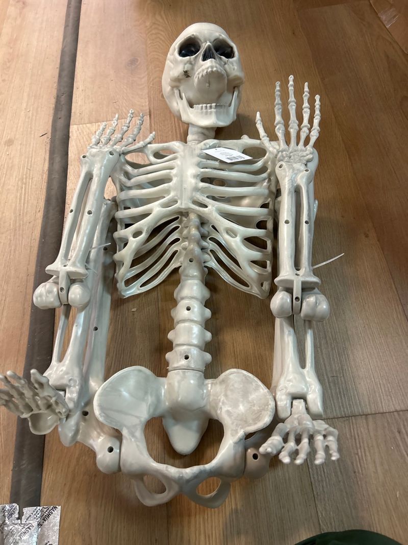Foldable poseable Haloween skeleton decoration - Image 1