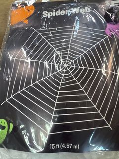 Spider web - Image 1