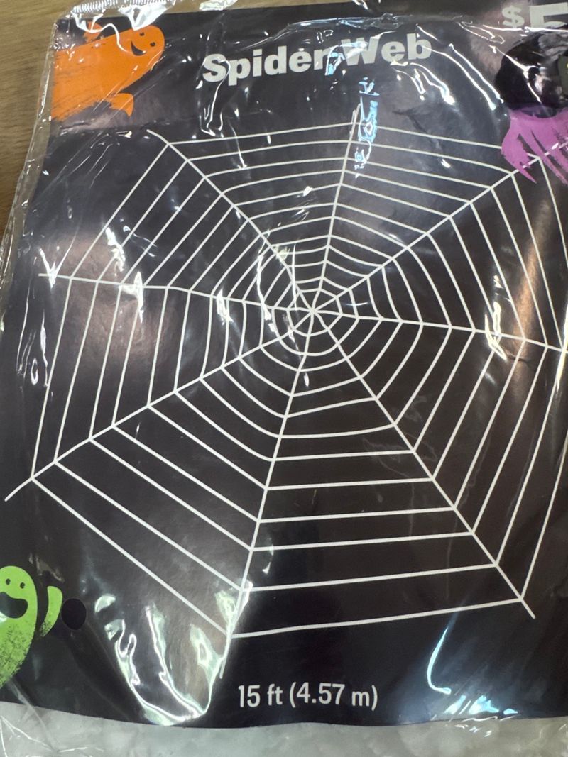 Spider web - Image 1