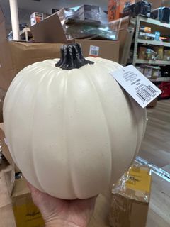 Pumpkin  - Image 1