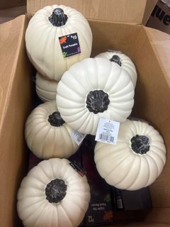 Pumpkin  - Image 2