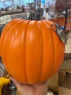 Pumpkin  - Image 1