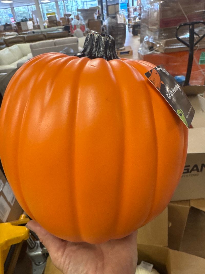 Pumpkin  - Image 1