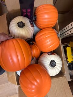 Pumpkin  - Image 2