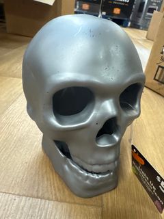 Skull  - Image 1