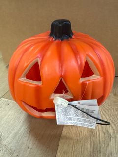 Pumpkin  - Image 1