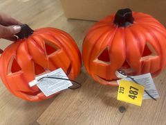 Pumpkin  - Image 2