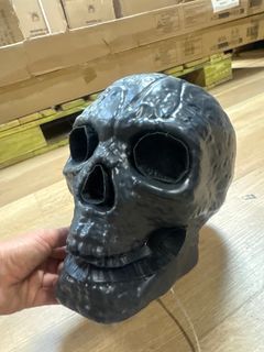 Fiber Optic Skull  - Image 1