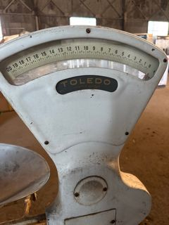 Fan scale - Image 2