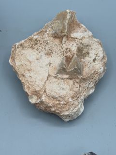 Natural Mineral Specimen Lot Including Agate Thunderegg Geode Halves - Image 8