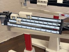 Ohaus Gram Balances - Image 3
