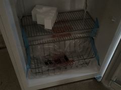 Frigidaire Upright Freezer - Image 10
