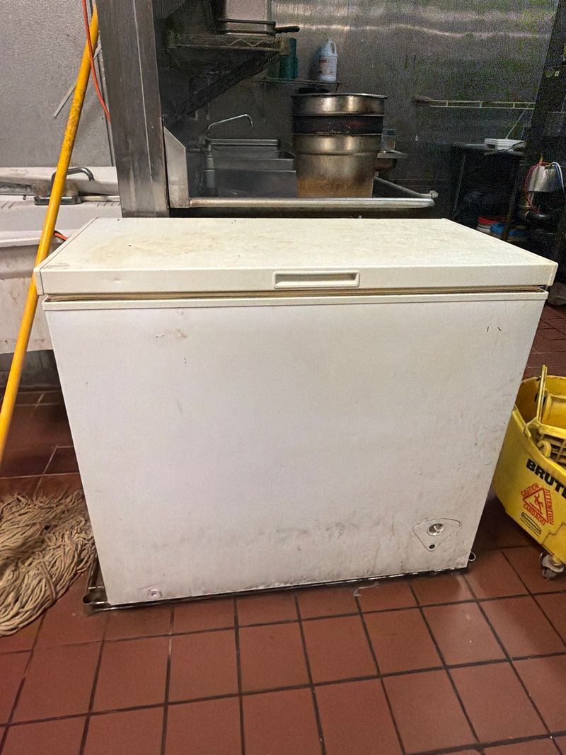 Chest Freezer - Image 1