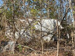 **Alternate Pickup Location and Date** 16ft Box Truck with Heavy Overgrowth - Image 1