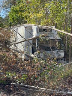 **Alternate Pickup Location and Date** 16ft Box Truck with Heavy Overgrowth - Image 2